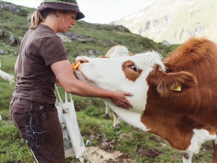 Wanderin in Outdoor-Kleidung streichelt Kuh auf grüner Bergwiese mit schneebedeckten Gipfeln im Hintergrund. | © Urlaub am Bauernhof / Daniel Gollner 