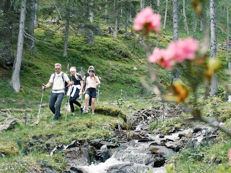 Drei Wanderer folgen einem schmalen Pfad durch den moosbedeckten Wald, entlang eines Bachlaufs. Blühende Rhododendren rahmen die Szene ein. Die Umgebung erscheint friedlich und natürlich.