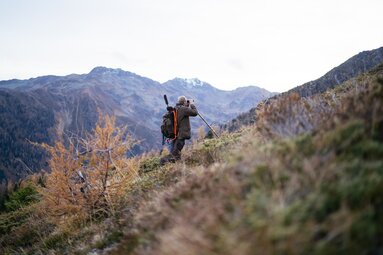 Wanderer mit Rucksack und Stock auf Bergpfad, umgeben von schneebedeckten Gipfeln und herbstlichen Farben. | © Urlaub am Bauernhof Kärnten / Daniel Gollner