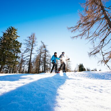 Zwei Personen beim Langlaufen in einer winterlichen Waldlandschaft mit schneebedeckten Bäumen und blauem Himmel. | © Urlaub am Bauernhof Kärnten / Daniel Gollner
