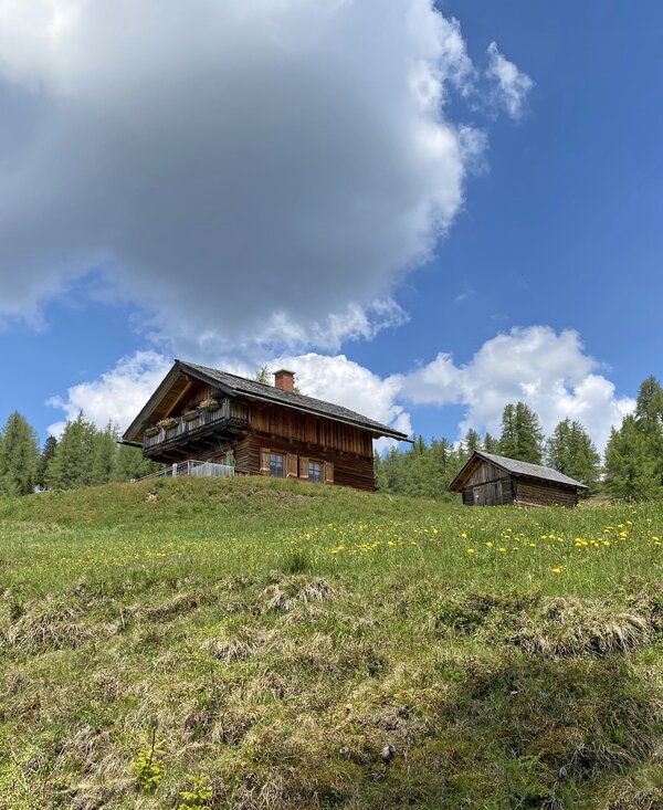 Auf einer grünen Bergwiese stehen mehrere historische Holzhäuser umgeben von Bäumen und einem dramatischen Wolkenhimmel. Die Gebäude haben traditionsreiche Architektur mit Balkonen und Schornsteinen, die eine ruhige, ländliche Atmosphäre ausstrahlen. | © Urlaub am Bauernhof Kärnten / Jasmin Kreulitsch