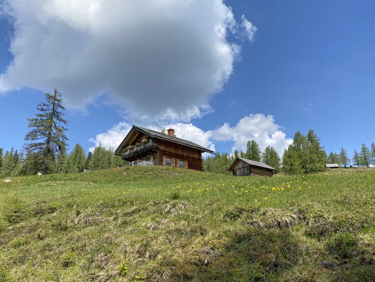 Auf einer grünen Bergwiese stehen mehrere historische Holzhäuser umgeben von Bäumen und einem dramatischen Wolkenhimmel. Die Gebäude haben traditionsreiche Architektur mit Balkonen und Schornsteinen, die eine ruhige, ländliche Atmosphäre ausstrahlen. | © Urlaub am Bauernhof Kärnten / Jasmin Kreulitsch