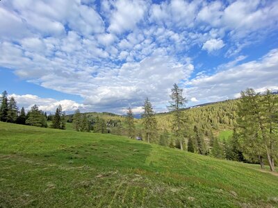Landschaft Mechtenhütte | © Urlaub am Bauernhof Kärnten / Jasmin Kreulitsch Grüne, mit Gräsern und Blumen bewachsene Wiesen, umgeben von Wäldern und blauem Himmel mit Wolken. Eine idyllische, bergige Landschaft. | © Urlaub am Bauernhof Kärnten / Jasmin Kreulitsch