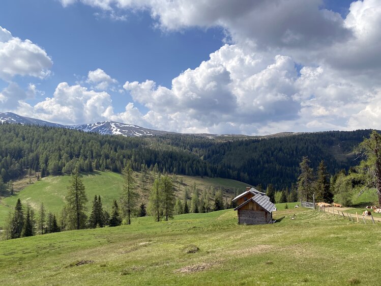 Eine grüne, bergige Landschaft mit Wäldern und einer kleinen Berghütte. Am Himmel eine Mischung aus Sonne und Wolken. | © Urlaub am Bauernhof Kärnten / Jasmin Kreulitsch