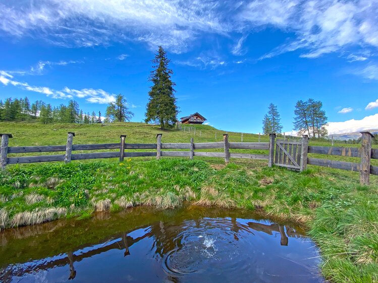 Eine malerische Landschaft mit grünen Wiesen, einem Zaun, einem kleinen Teich und einem Holzhaus, die Szenerie ist von einem klaren Himmel mit Wolken überspannt. | © Urlaub am Bauernhof Kärnten / Jasmin Kreulitsch
