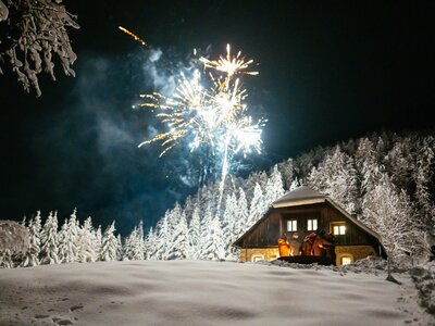 Silvester Feuerwerk | © Urlaub am Bauernhof / Daniel Gollner Lichterfunkeln über einer verschneiten Blockhütte, umgeben von schneebedeckten Bäumen, die das Bild in eine winterliche, feierliche Stimmung tauchen. | © Urlaub am Bauernhof / Daniel Gollner