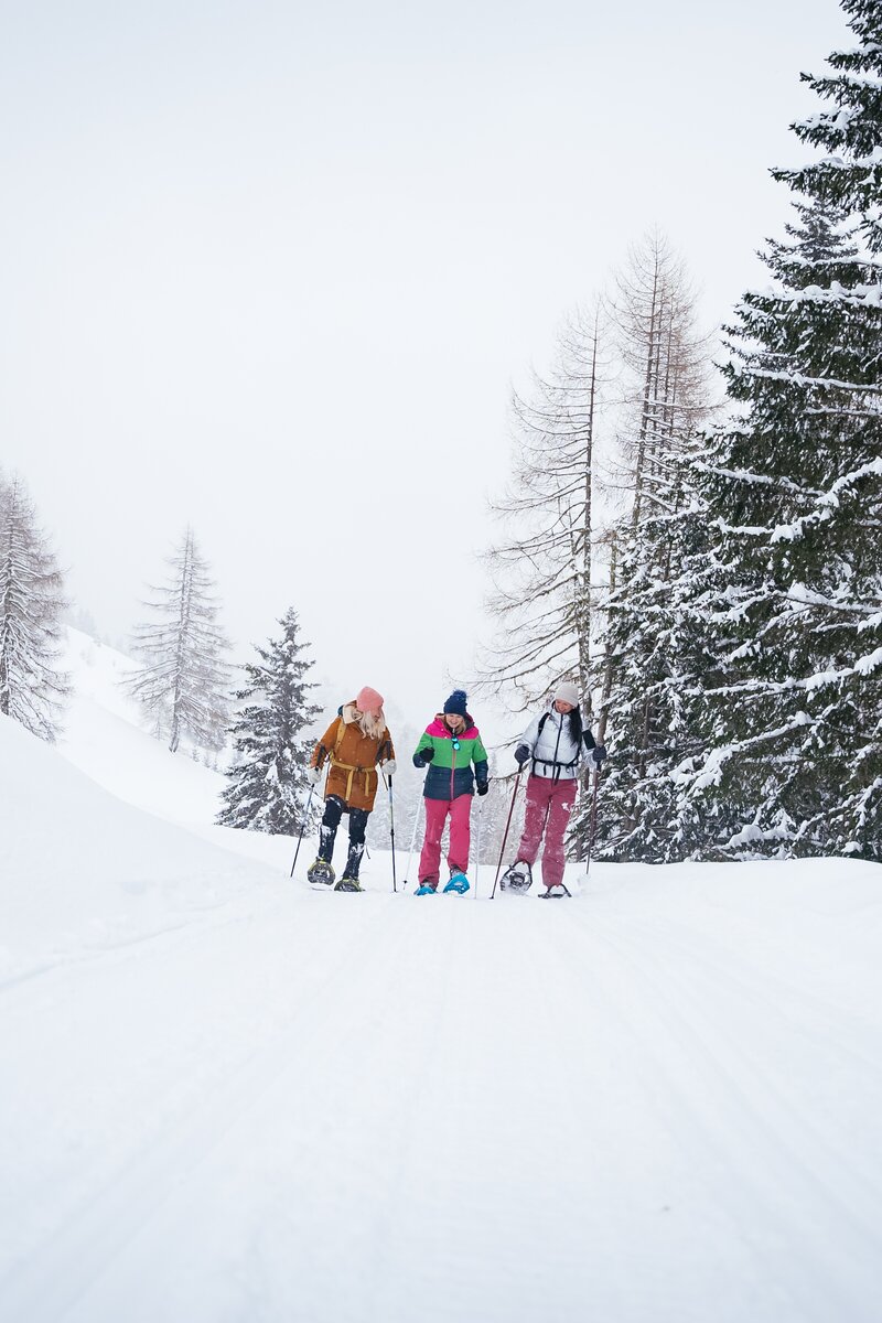 Drei Schneewanderer in bunter Winterkleidung gehen gemeinsam durch eine verschneite Waldlandschaft. Hohe Tannen umgeben den verschneiten Weg, der zwischen den Bäumen hindurchführt. | © Urlaub am Bauernhof Kärnten/ Daniel Gollner