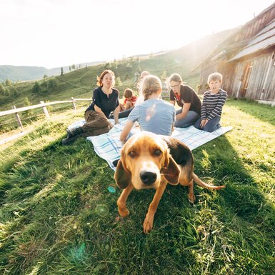 Eine Gruppe von Menschen sitzt auf einer Picknickdecke in einer idyllischen Landschaft mit einer Hütte und einem Hund im Vordergrund. Die Sonne scheint, und die Natur wirkt friedlich und einladend. | © Urlaub am Bauernhof Kärnten / Daniel Gollner