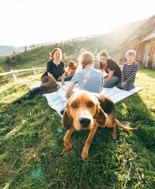 Hund vor Picknick | © Urlaub am Bauernhof Kärnten / Daniel Gollner Hund vor Picknick in der Wiese vor der Hütte | © Urlaub am Bauernhof Kärnten / Daniel Gollner