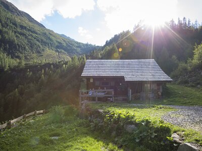 Familie beim Sonnenuntergang auf der Almhütte | © Urlaub am Bauernhof Kärnten/ Tine Steinthaler Eine malerische Hütte in einer idyllischen Berglandschaft. Dichter Wald umgibt das Gebäude, das von der Sonne beleuchtet wird. Eine Holzbank lädt zum Verweilen ein. | © Urlaub am Bauernhof Kärnten/ Tine Steinthaler
