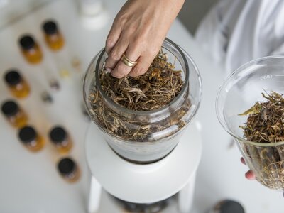 Auf dem Bild sieht man Hände, die einen Glasbehälter mit getrockneten Kräutern oder Pilzen befüllen. Neben dem Behälter befinden sich weitere Glasbehälter mit ähnlichen Materialien. | © SPEICK Naturkosmetik