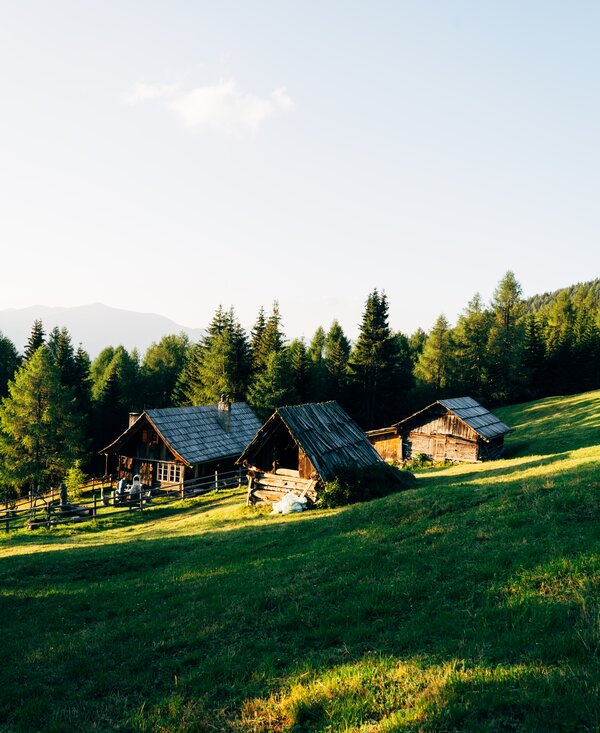 Malerische Holzhütten in bergiger Waldlandschaft, umgeben von üppiger Vegetation und einem grünen Hügel. Eine idyllische ländliche Szenerie, die Ruhe und Entspannung ausstrahlt. | © Urlaub am Bauernhof Kärnten / Daniel Gollner