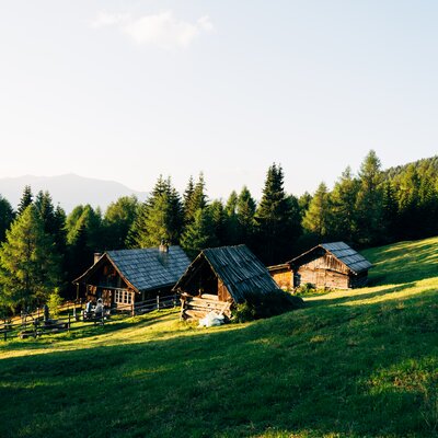 Malerische Holzhütten in bergiger Waldlandschaft, umgeben von üppiger Vegetation und einem grünen Hügel. Eine idyllische ländliche Szenerie, die Ruhe und Entspannung ausstrahlt. | © Urlaub am Bauernhof Kärnten / Daniel Gollner