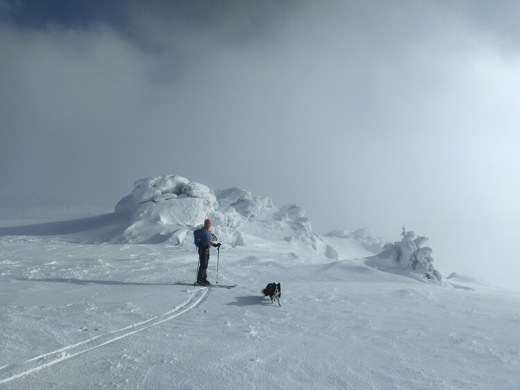 Einsamer Skifahrer mit Hund auf schneebedeckter Landschaft, umgeben von mächtigen, schneebedeckten Felsen und Bäumen. | © Urlaub am Bauernhof in Kärnten / Kopp