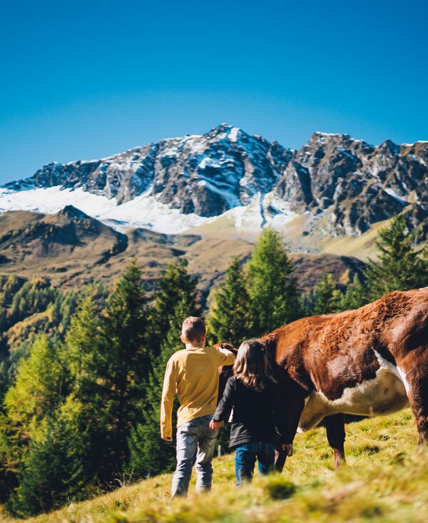 Zwei Menschen stehen inmitten einer Herde von Kühen auf einer Bergwiese. Im Hintergrund erheben sich schneebedeckte Bergketten unter einem strahlend blauen Himmel. | © Urlaub am Bauernhof Salzburg / Daniel Gollner 