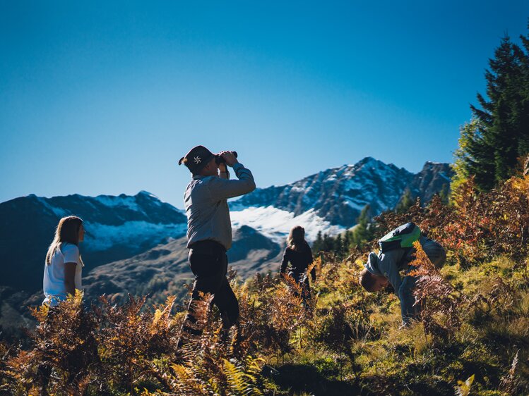 Eine Gruppe von Wanderern erkundet eine bergige Landschaft mit Schneekuppen und Wäldern. Sie stehen in einem herbstlichen Gelände und genießen die Aussicht. | © Urlaub am Bauernhof Salzburg / Daniel Gollner 