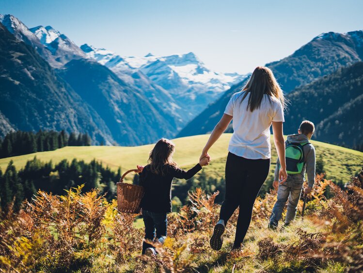 Eine Mutter hält die Hand ihrer Tochter, während sie zusammen mit einem Jungen eine Wanderung in einer bergigen Landschaft unternehmen. Im Hintergrund sind schneebedeckte Gipfel zu sehen, die sich über einer bewaldeten Ebene erheben. | © Urlaub am Bauernhof Salzburg / Daniel Gollner 