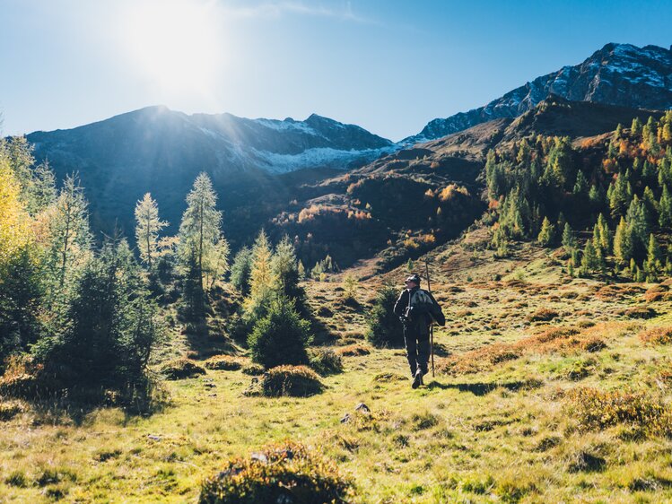 Ein Wanderer bewegt sich durch eine abwechslungsreiche Berglandschaft mit hohen, schneebedeckten Gipfeln, Nadel- und Laubbäumen in unterschiedlichen Herbstfarben. | © Urlaub am Bauernhof Salzburg / Daniel Gollner 