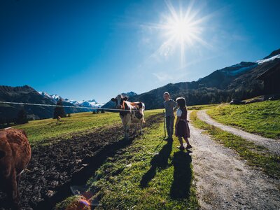 Kinder bei den Kühen auf der Alm | © Urlaub am Bauernhof Salzburg / Daniel Gollner Eine bergige Landschaft mit grünen Wiesen, blauem Himmel und Sonnenlicht. Ein Paar spaziert auf einem Weg, begleitet von einem Pferd. Rinder grasen in der Ferne. Die Szene vermittelt Ruhe und Naturverbundenheit. | © Urlaub am Bauernhof Salzburg / Daniel Gollner