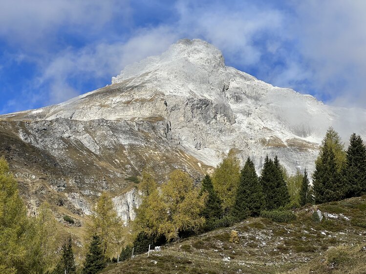 Ein gewaltiger, schneebedeckter Bergmassiv ragt vor einem strahlend blauen Himmel empor, umgeben von waldbedeckten Hängen und schroffen Felsformationen. | © Urlaub auf der Alm / Julia Winkler