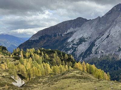 Eine faszinierende Gebirgslandschaft mit schneebedeckten Gipfeln, umgeben von herbstlich gefärbten Laubbäumen und grünen Wiesen. Die Szenerie schafft einen stimmungsvollen Kontrast zwischen der beeindruckenden Bergkulisse und der malerischen Waldlandschaft. | © Urlaub auf der Alm / Julia Winkler