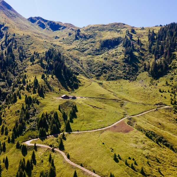 Grüne Bergwiesen, durchzogen von gewundenen Wanderwegen, in einer Berglandschaft mit bewaldeten Hängen und malerischen Berggipfeln im Hintergrund. Eine idyllische Szene, die zum Wandern und Entspannen in der Natur einlädt. | © Urlaub am Bauernhof / Daniel Gollner