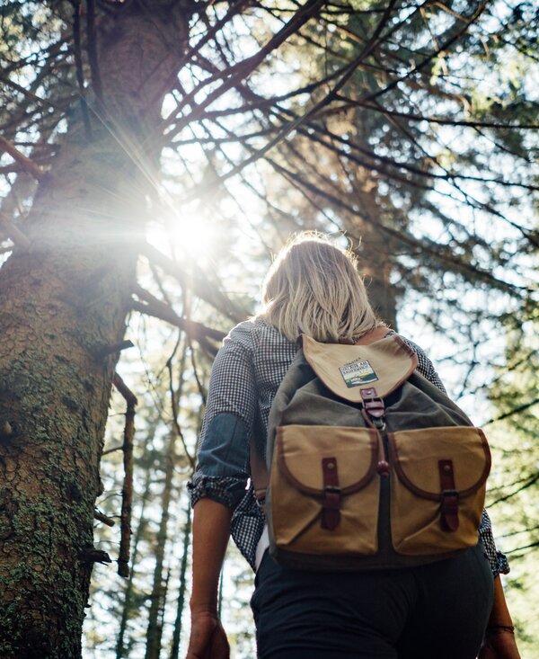 Eine Person mit Rucksack steht zwischen Bäumen und Sonnenstrahlen durchbrechen den Wald, eine friedliche Szene in der Natur. | © Urlaub am Bauernhof Steiermark / Daniel Gollner 