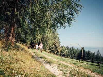 Zweisamkeit beim Urlaub auf der Alm in der Steiermark | © Urlaub am Bauernhof Steiermark / Daniel Gollner Zwei Wanderer auf einem Waldpfad umgeben von hohen, grünen Bäumen. Der Weg windet sich durch die Hügellandschaft, mit Ausblick auf die Berge in der Ferne. | © Urlaub am Bauernhof Steiermark / Daniel Gollner