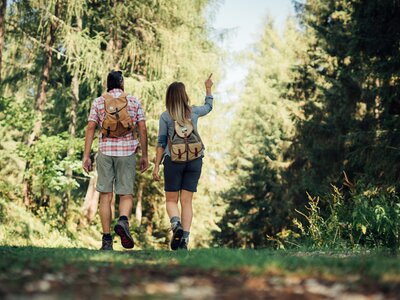 Unterwegs im Wald | © Urlaub am Bauernhof Steiermark / Daniel Gollner Zwei Wanderer gehen auf einem schmalen Pfad durch den Wald. Der Hintergrund zeigt eine grüne, naturnahe Umgebung mit hohen Bäumen und Sträuchern. | © Urlaub am Bauernhof Steiermark / Daniel Gollner