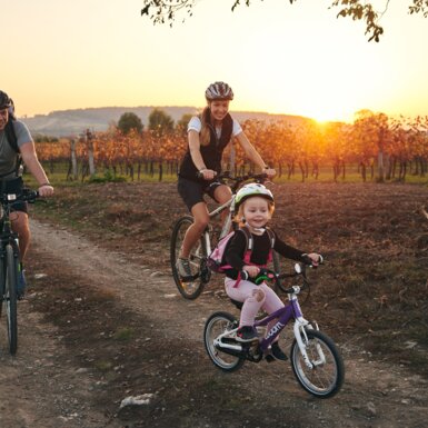 Radeln mit Sonne drin | © Burgenland Tourismus GmbH / Thomas Schmid
