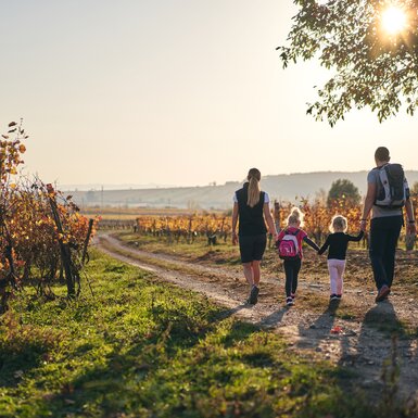 Gemeinsame Stunden beim Wandern im Burgenland in der Natur  | © Burgenland Tourismus GmbH / Thomas Schmid