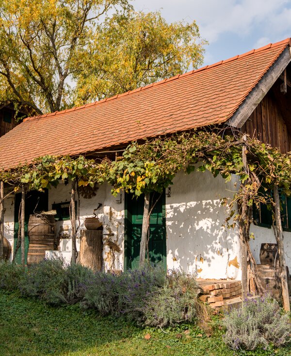 Kellerstöckl | © Burgenland Tourismus GmbH / Birgit Machtinger Kellerstöckl im Burgenland | © Burgenland Tourismus GmbH / Birgit Machtinger