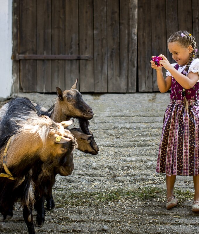 Mädchen im pinken Dirndl fotografiert Ziegen mit Spielzeugkamera | © Urlaub am Bauernhof Kärnten / Tom Lamm