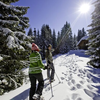 Paar ist mit Schneeschuhen im Wald unterwegs | © Urlaub am Bauernhof Kärnten / Tom Lamm