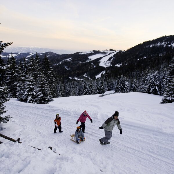Familie rodelt auf der Alm | © Tom Lamm
