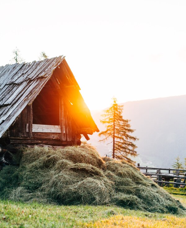 Hütte mit Heu | © Daniel Gollner Hütte mit Heu im Sonnenuntergang | © Daniel Gollner