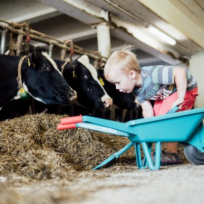Kinder sind mit kleinen Schiebtruhen im Stall | © Urlaub am Bauernhof Kärnten / Daniel Gollner
