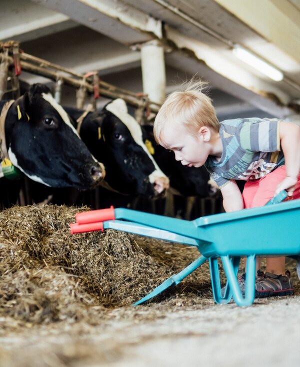 Kinder im Stall | © Urlaub am Bauernhof Kärnten / Daniel Gollner Kinder sind mit kleinen Schiebtruhen im Stall | © Urlaub am Bauernhof Kärnten / Daniel Gollner