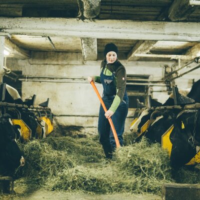 Mädchen füttert Kühen Heu im Stall | © Urlaub am Bauernhof Kärnten / Daniel Gollner