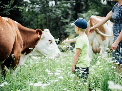 Frau und Kind bei Kuh | © Urlaub am Bauernhof Kärnten / Daniel Gollner Frau und Kind bei der Kuh auf der Wiese | © Urlaub am Bauernhof Kärnten / Daniel Gollner