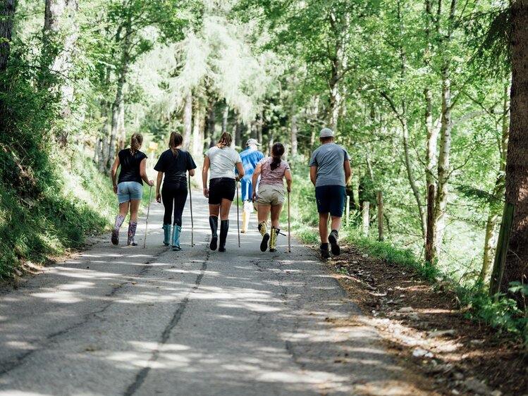 Familie spaziert mit Wanderstöcke im Wald | © Urlaub am Bauernhof Kärnten / Daniel Gollner