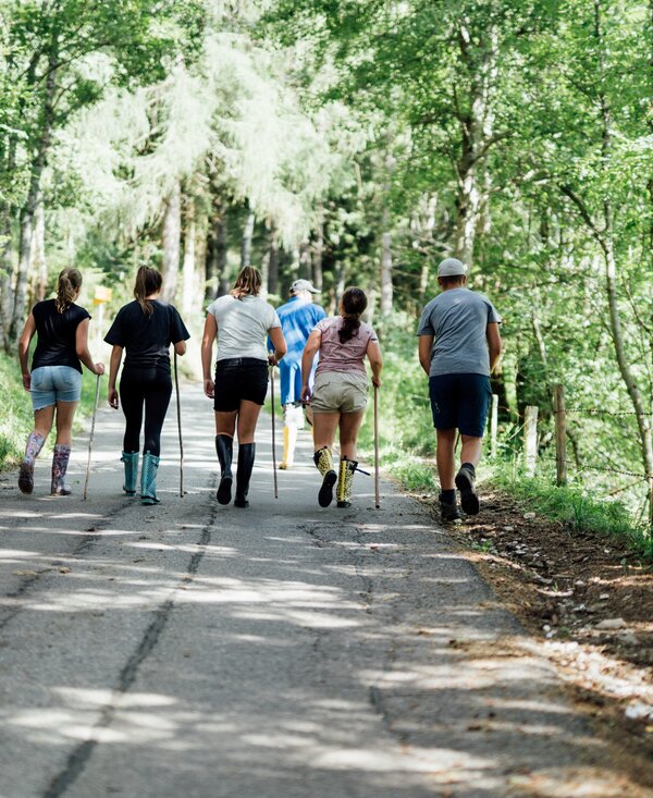 Familie spaziert im Wald | © Urlaub am Bauernhof Kärnten/ Daniel Gollner Familie spaziert mit Wanderstöcke im Wald | © Urlaub am Bauernhof Kärnten/ Daniel Gollner