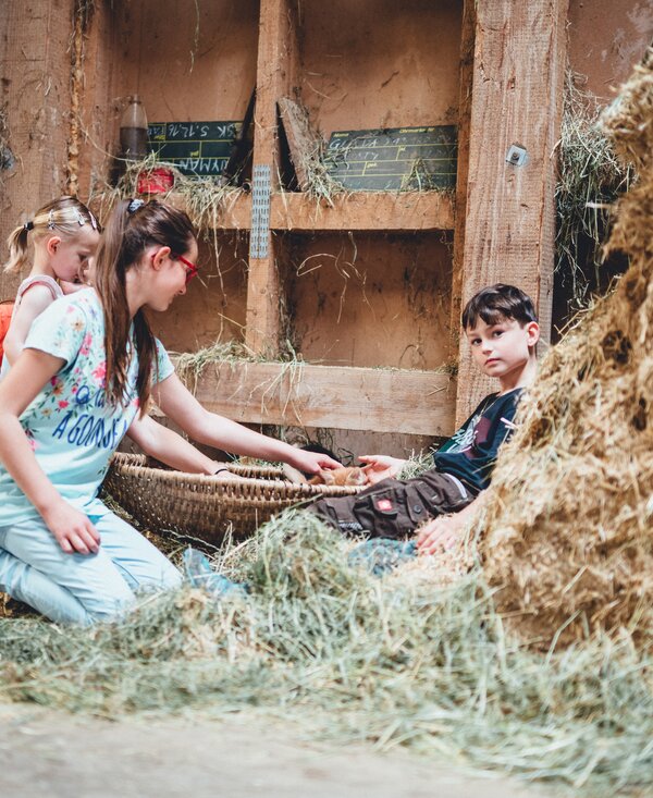 Kinder im Heu | © Urlaub am Bauernhof Kärnten/ Daniel Gollner Kinder sitzen im Heu | © Urlaub am Bauernhof Kärnten/ Daniel Gollner