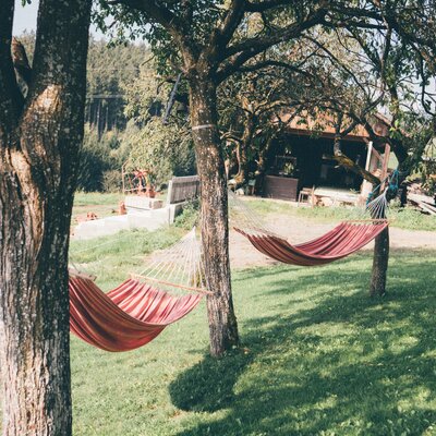 Hängematten zwischen Bäumen gespannt | © Urlaub am Bauernhof Kärnten/ Daniel Gollner