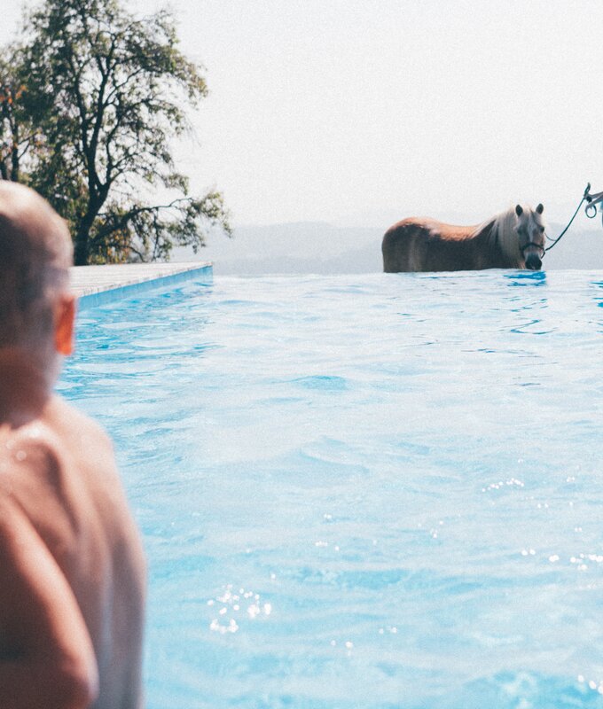 Kind im Pool und Mädchen mit Pony | © Urlaub am Bauernhof Kärnten / Daniel Gollner
