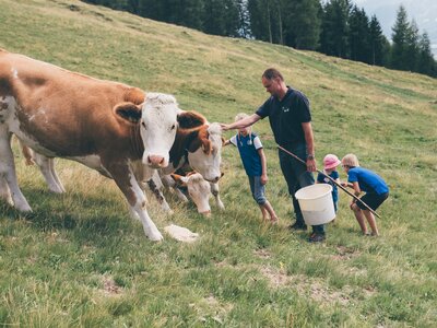 Bauer und Kinder auf der Wiese | © Urlaub am Bauernhof Kärnten / Daniel Gollner Bauer und Kinder bei den Kühen auf der Wiese | © Urlaub am Bauernhof Kärnten / Daniel Gollner