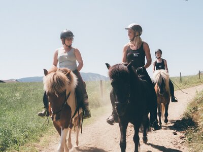 Ausritt | © Urlaub am Bauernhof Kärnten / Daniel Gollner Ausritt am Weg | © Urlaub am Bauernhof Kärnten / Daniel Gollner