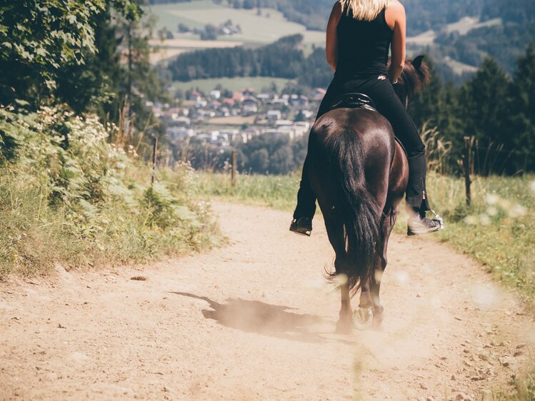 Frau beim Ausreiten am Weg | © Urlaub am Bauernhof Kärnten / Daniel Gollner