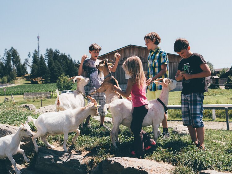 Familie bei den Ziegen | © Urlaub am Bauernhof Kärnten / Daniel Gollner