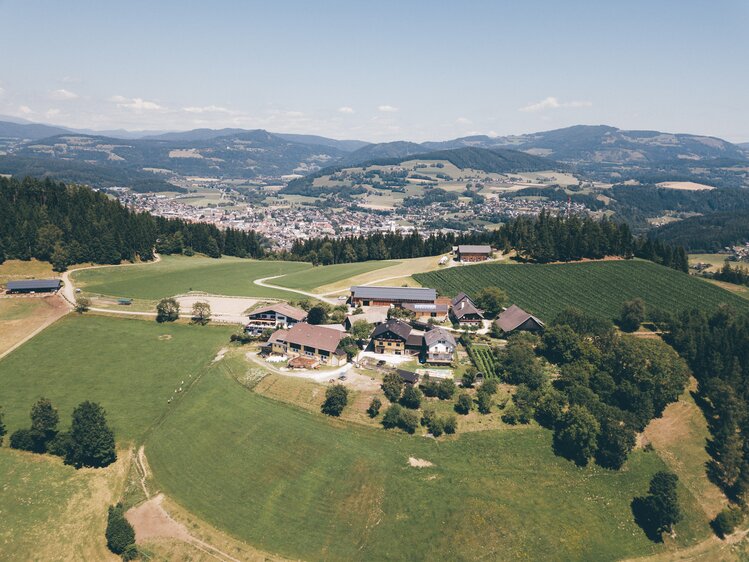 Bauernhof von oben | © Urlaub am Bauernhof Kärnten / Daniel Gollner